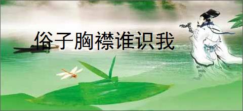 俗子胸襟谁识我