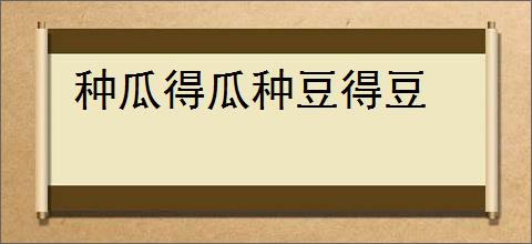 种瓜得瓜种豆得豆