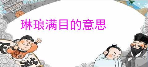 琳琅满目的意思