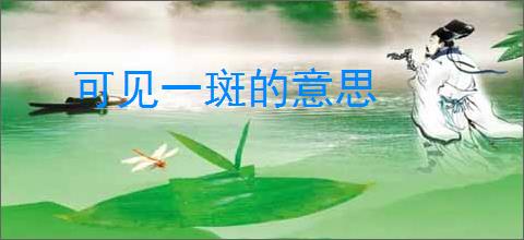 可见一斑的意思
