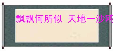 飘飘何所似 天地一沙鸥
