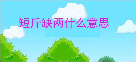 短斤缺两什么意思