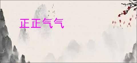 正正气气