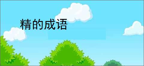 精的成语