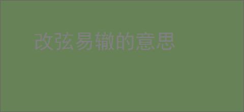 改弦易辙的意思