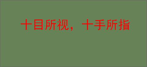 十目所视，十手所指