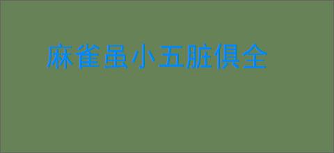 麻雀虽小五脏俱全