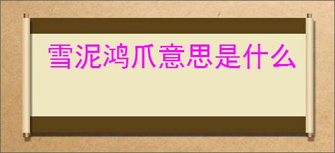 雪泥鸿爪意思是什么