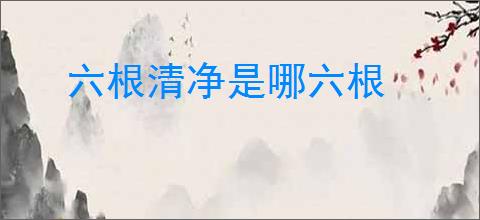 六根清净是哪六根
