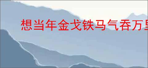 想当年金戈铁马气吞万里如虎