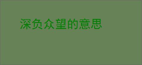 深负众望的意思