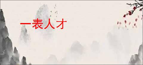 一表人才