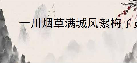 一川烟草满城风絮梅子黄时雨