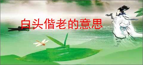 白头偕老的意思
