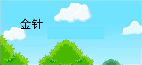 金针