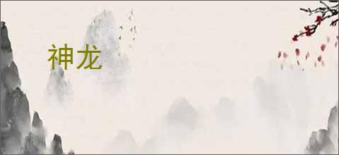神龙