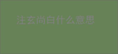 注玄尚白什么意思