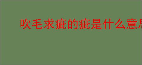 吹毛求疵的疵是什么意思