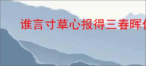谁言寸草心报得三春晖什么意思