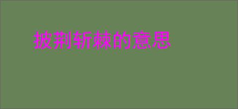 披荆斩棘的意思