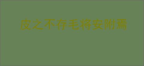 皮之不存毛将安附焉