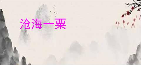 沧海一粟
