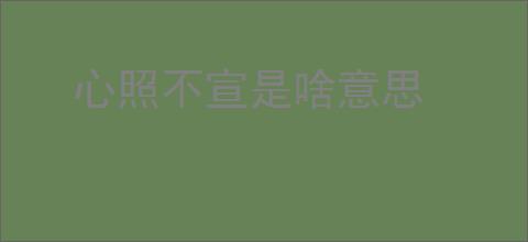 心照不宣是啥意思