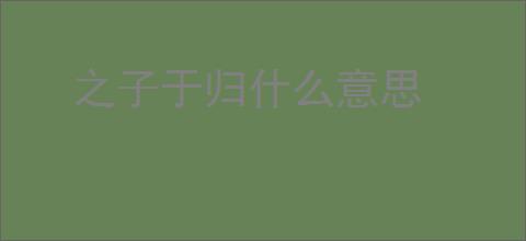 之子于归什么意思