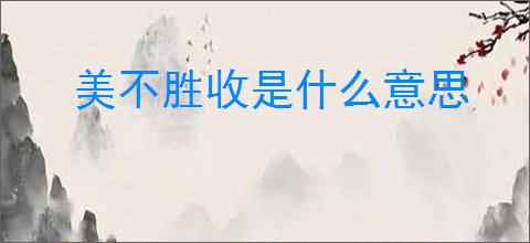 美不胜收是什么意思