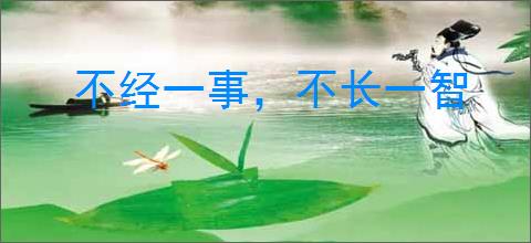 不经一事，不长一智