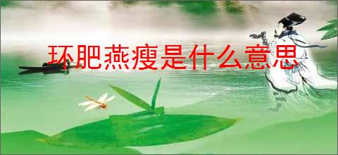 环肥燕瘦是什么意思