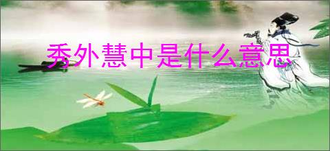 秀外慧中是什么意思