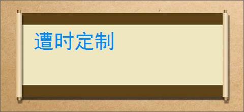 遭时定制