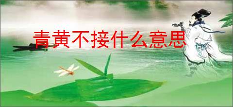青黄不接什么意思