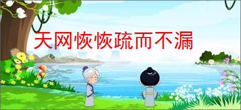 天网恢恢疏而不漏