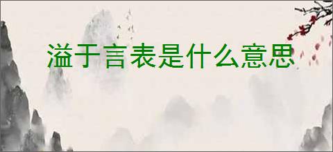 溢于言表是什么意思