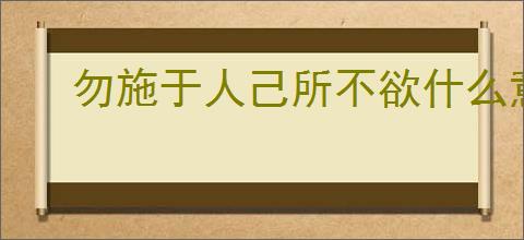 勿施于人己所不欲什么意思
