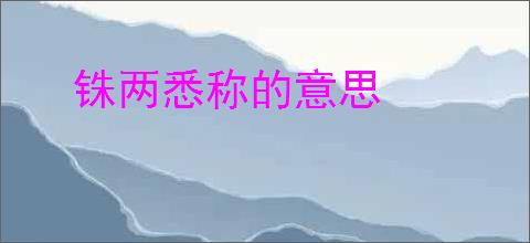 铢两悉称的意思